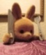 hungryrabbit's Avatar