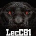 lecC81's Avatar